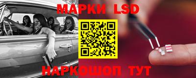 индика Новозыбков