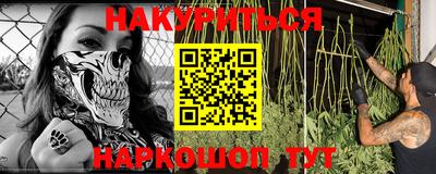 индика Новозыбков