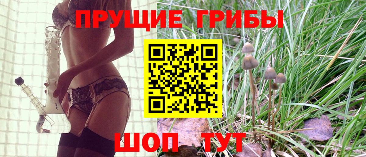 Чистополь  Псилоцибиновые грибы MAGIC MUSHROOMS  Псилоцибиновые грибы мухоморы  Вход с VPN 